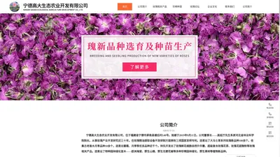 宁德高大生态农业开发有限公司|宁德高大生态农业开发公司|宁德高大生态农业开发|高大生态农业开发公司|高大生态农业开发|高大生态农业【官网】