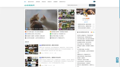 小云宠物网 - 分享宠物小猫,小狗,兔子,仓鼠饲养训练知识