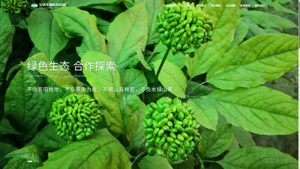 金达生物医药集团_生药投资_百大道地药材基地