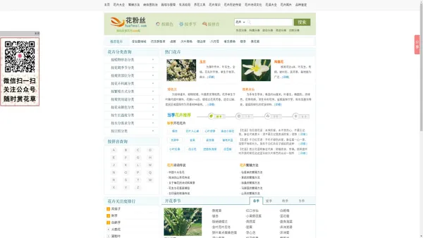 【花粉丝】花卉查询网——专业的花卉知识大全网站