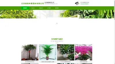 北京植物出租-花卉租赁-租摆-办公楼植物租赁-绿植租摆公司