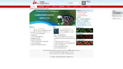 稳定细胞系构建_大肠杆菌基因编辑_慢病毒载体_英茂盛业生物科技有限公司