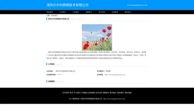 深圳贝尔利网络技术有限公司