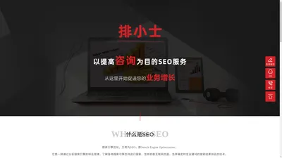 「排小士」阜阳网站优化公司-专注企业推广、seo自然排名服务