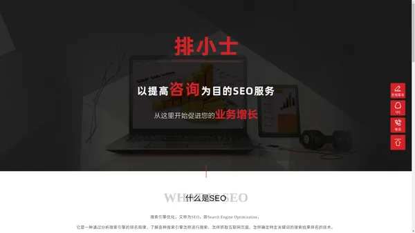 「排小士」阜阳网站优化公司-专注企业推广、seo自然排名服务