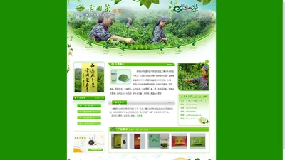 金冈茶_乐山市三峨茶叶有限责任公司