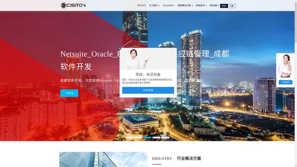 Netsuite_Oracle_EBS_ERP系统_供应链管理_成都软件开发