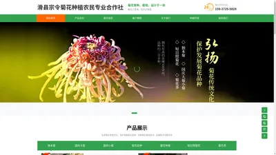 滑县宗令菊花种植农民专业合作社