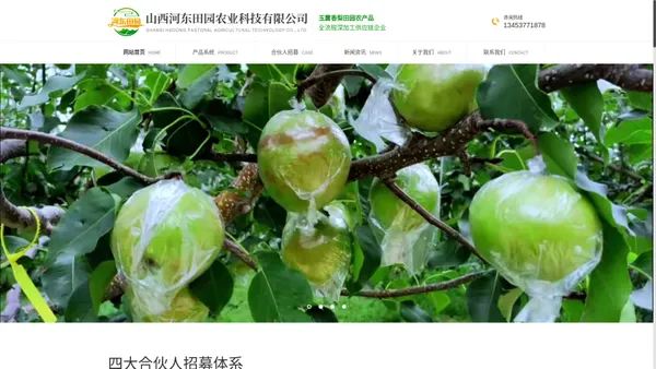 山西隰县玉露香梨批发厂家_玉露香梨种植基地_玉露香梨招商加盟-山西河东田园农业科技有限公司