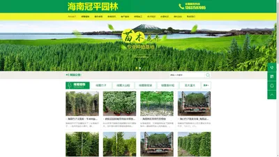 海口树木高空修剪_别墅庭院苗木种植养护-海南冠平绿化公司