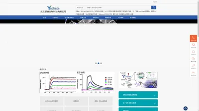 MST亲和力检测-DSF蛋白稳定性分析-SPR分子互作亲和力检测-化合物分子对接反向寻靶-武汉研锦生物科技有限公司