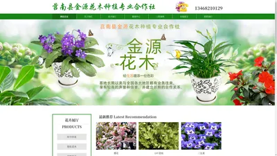 莒南草花基地|临沂草花基地|山东草花基地-莒南县金源花木种植专业合作社