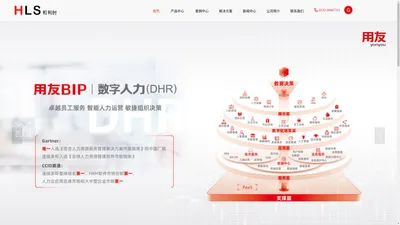 青岛和利时网络信息技术有限公司