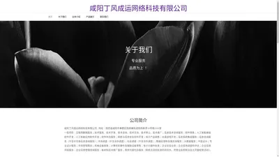 咸阳丁风成运网络科技有限公司