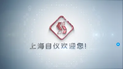 上海自仪科兴自动化有限公司-销售网