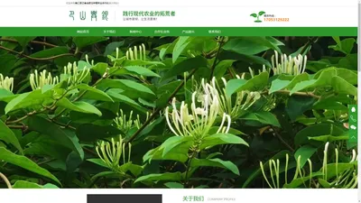 南江县正泰金银花种植专业合作社