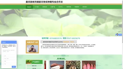 嘉祥县纸坊镇超丰地瓜种植专业合作社