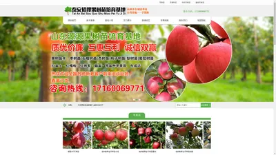 苹果苗【价格优惠】苹果树苗【新品种】