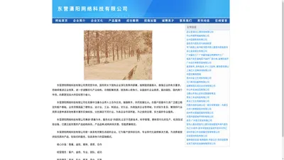 东营潇阳网络科技有限公司-东营潇阳网络科技有限公司