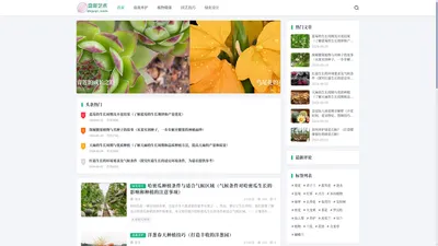 盘栽艺术 - 室内绿化与植物养护宝典