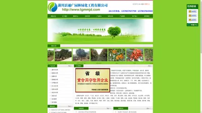 河南省潢川县通广园林绿化工程有限公司-优质苗木培育基地，电话：13783767759，13783764569