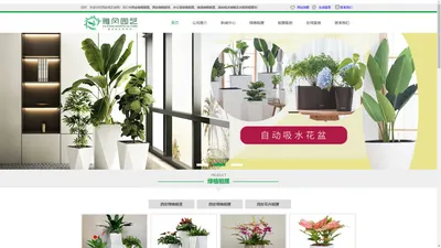 西安绿植租摆,西安绿植租赁,西安花卉租摆,绿植租摆,办公室绿植租摆 - 西安雅风园艺