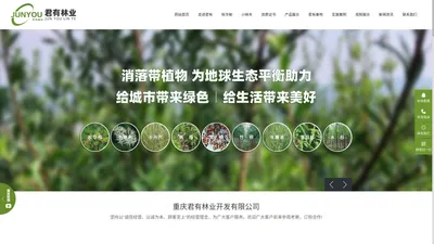 重庆君有林业开发有限公司-小梾木秋华柳园林植物培育