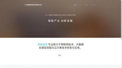 广州领峰信息科技有限公司