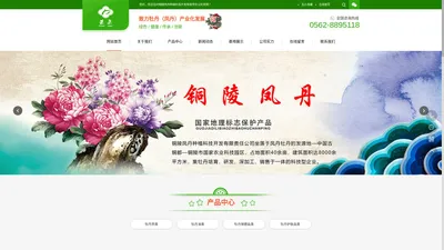 铜陵凤丹种植科技开发有限责任公司铜陵凤丹种植科技开发有限责任公司是一家集科、农、贸为一体的省级林业产业化龙头企业，公司立足国家地理标志保护产品——“凤丹”的种苗培育及原药材的种植、初精加工，致力牡丹（凤丹）产业化发展