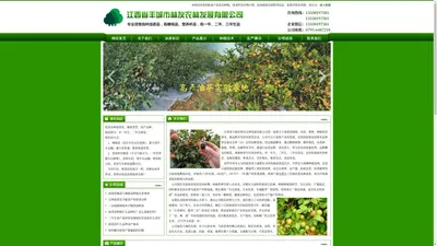 
	油茶苗_油茶苗价格_高产油茶苗批发 - 丰城市林友农林发展有限公司
