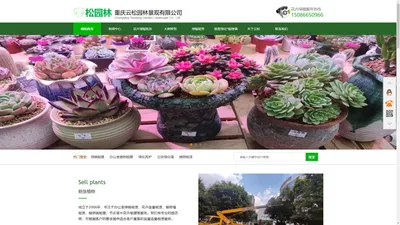 云松园林|绿植租赁|立体绿化|仿真植物墙|大树修剪15086650966