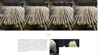 独角鲸牙-北极熊标本-北极熊皮-北美标本「加拿大泰怡标本」