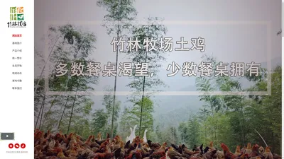 竹林找鸡-区块链溯源竹林生态散养土鸡