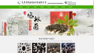 黑皮鸡枞菌菌包,黑皮鸡枞菌种植技术-金乡县联盛菌业科技有限公司