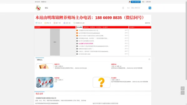 鱼千姿-山东锦鲤论坛 锦鲤  临沂锦鲤 费县锦鲤 明珠锦鲤养殖场 -  Powered by Discuz!
