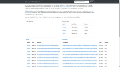 BtmScan - Real-Time Blockchain Transaction Monitoring for Enhanced Security