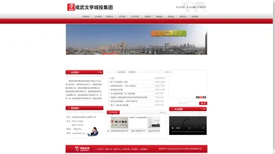 成武文亭城市建设投资有限公司-成武文亭城市建设投资有限公司