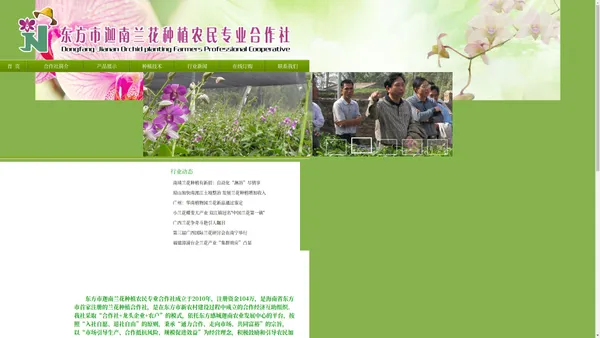 东方市迦南兰花种植农民专业合作社