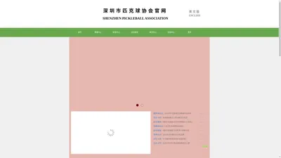 深圳市匹克球协会
