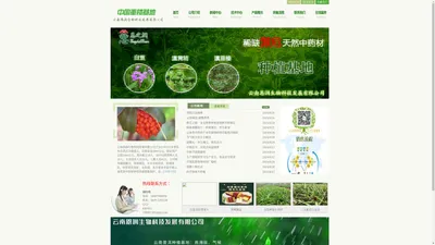 云南恩润生物科技发展有限公司-重楼,黄精,白及,白芨种植,中药材,云南恩润生物（重楼种植）