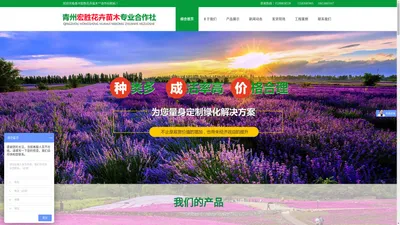 青州宏胜花卉苗木专业合作社 _ 从事花卉绿化工程、便宜草花、绿化苗木为一体的合作社