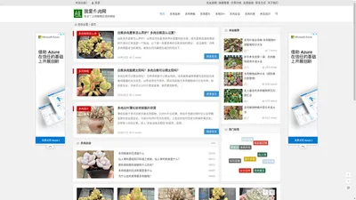 我爱多肉网_多肉植物图片_多肉品种大全_全国领先多肉植物种植网站