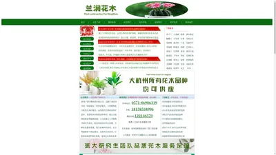 兰润花木,杭州租绿植,花卉租摆,花卉绿植租赁,杭州植物出租,租花