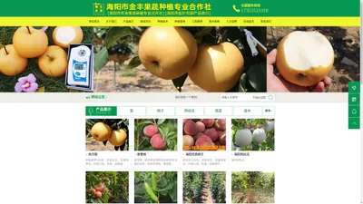 海阳市松叶农副产品-传承果蔬种植专业合作社秋月梨桃子秋月梨苗血桃网纹瓜白黄瓜西红柿