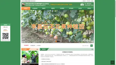 肥西县张祠无花果种植专业合作社