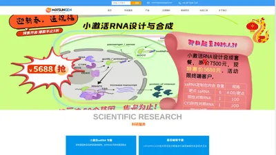 小激活RNA (saRNA)、小干扰RNA(siRNA)设计与合成、基因编辑（CRISPR/Cas9）,AAV/LV/ADV