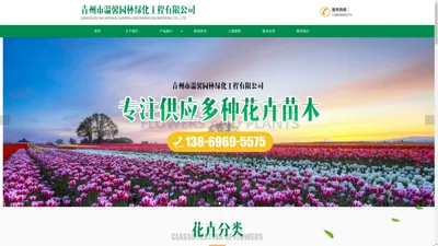 青州市温馨园林绿化工程有限公司-时令草花和宿根花卉以及绿化苗木、水生植物、观赏草、月季种植基地