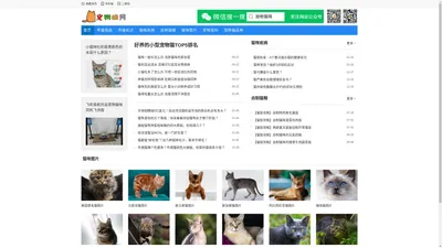 宠物猫交易|免费买猫卖猫平台 - 宠物猫网