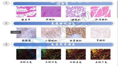 首页_河南鼎瀚生物技术有限公司