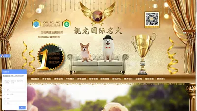 北京靓宠国际名犬 - 北京靓宠国际名犬